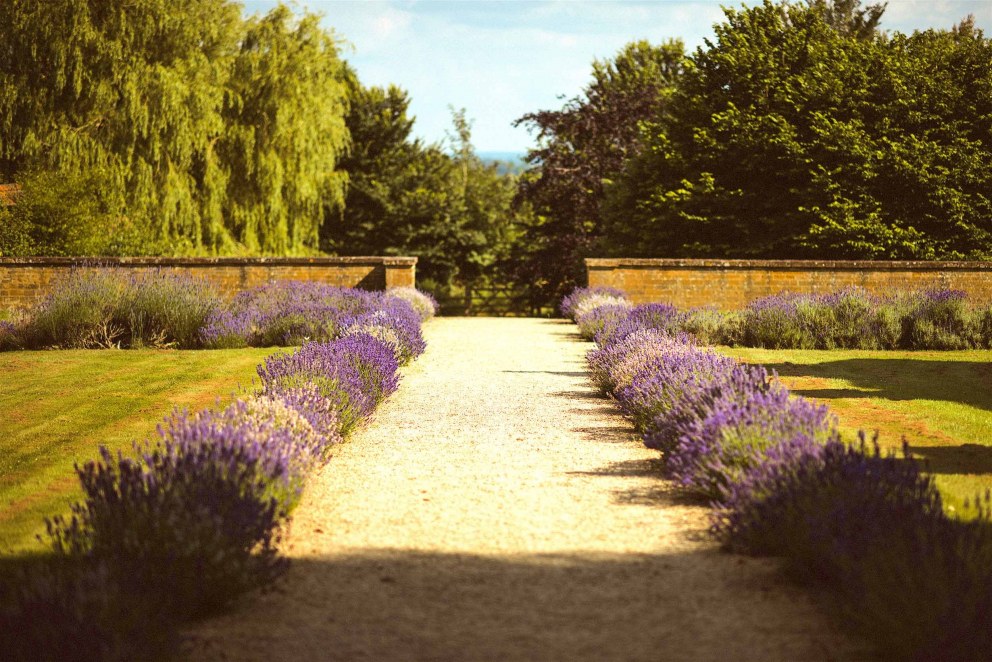 Oxford Manor House | Garden | Interior Designers
